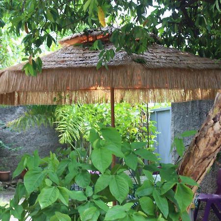 Hime Lodge Papeete  Extérieur photo